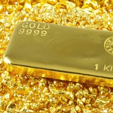 δΏ‘ε·πΆοΌTradingοΌ